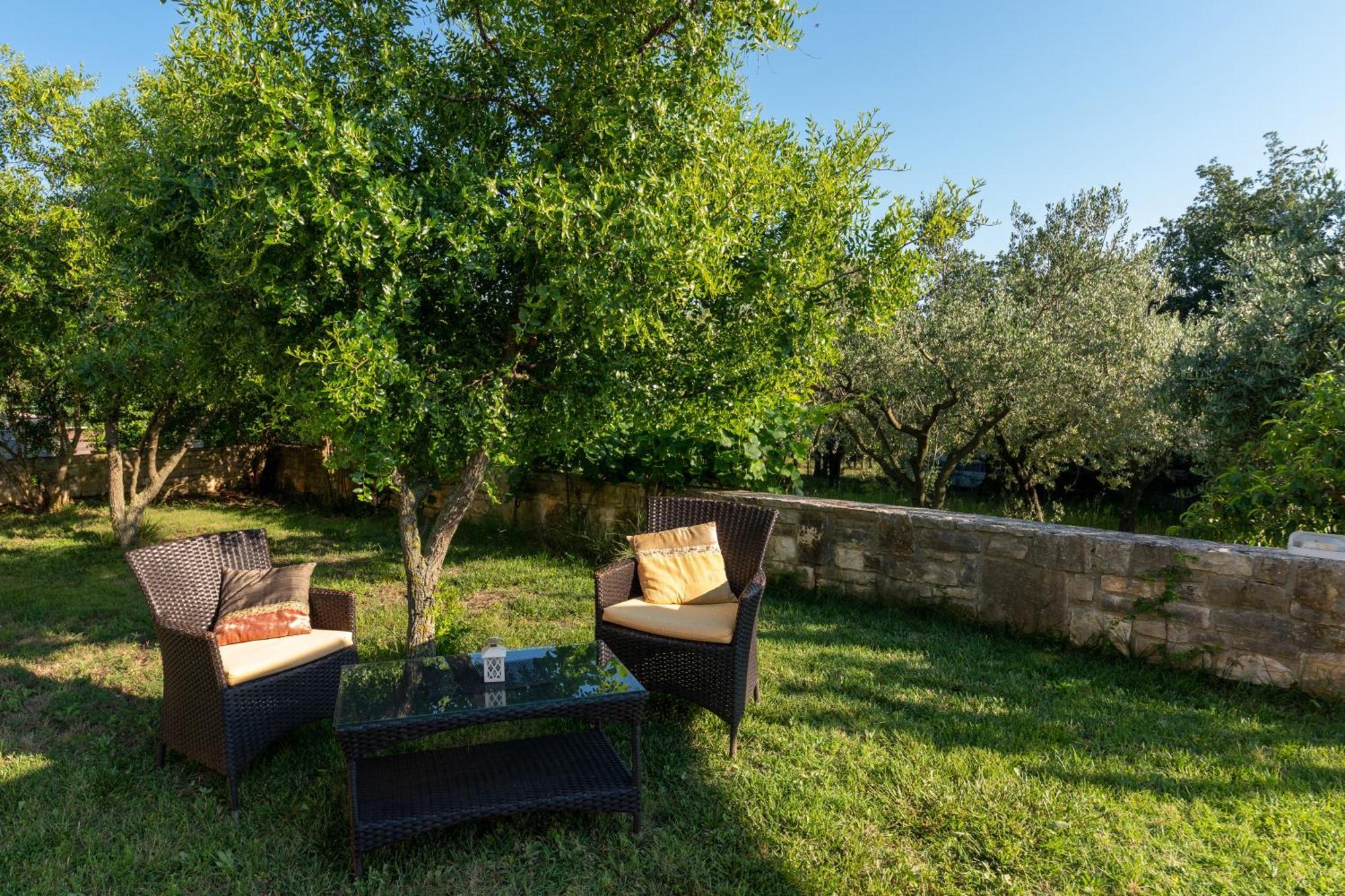 Guesthouse "Barboska" - Big Outdoor Swimming Pool & Private Tennis Court Vodnjan Εξωτερικό φωτογραφία