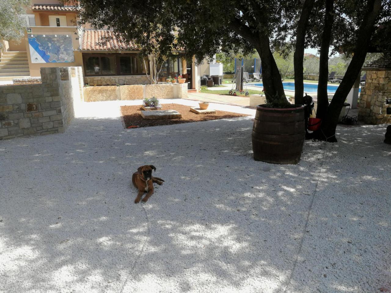 Guesthouse "Barboska" - Big Outdoor Swimming Pool & Private Tennis Court Vodnjan Εξωτερικό φωτογραφία